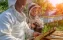 beekeeper | honey | beekeeping | affair | boy | apiculturist | hive | hobby | agriculture | honeycombs | experience | insect | apiary | bee | nectar | pollen | propolis | beehive | beeswax | family | floral | garden | grandfather | grandson | green | hexa
