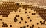 www.abeille.ch