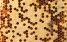 www.abeille.ch