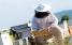 www.abeille.ch