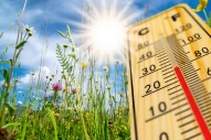 Frühling | Temperatur | Thermometer | Wärme | Sonne | Hochdruck | Hochdruckgebiet | Meteorologie | Natur | warm | Frühlingsgefühl | Hoch | Wetter | Pollen | Pollenflug | Pollenallergie | Allergie | Pollenkalender | außen | Celsius | Skala | Hitze | Klima 