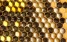 www.abeille.ch