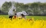 www.abeille.ch